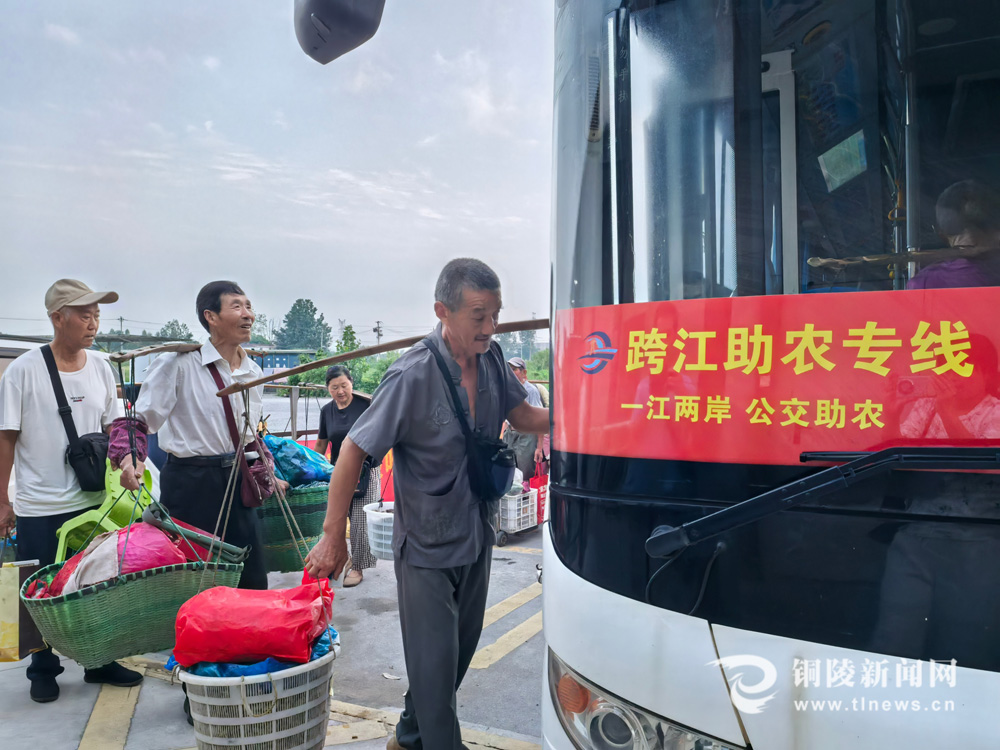 跨越長江的“菜農專線”
