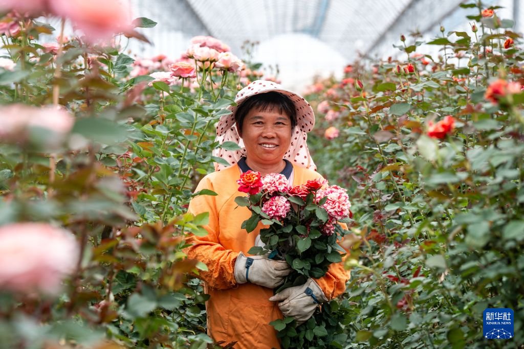 雲南:花開玉溪 產業向新
