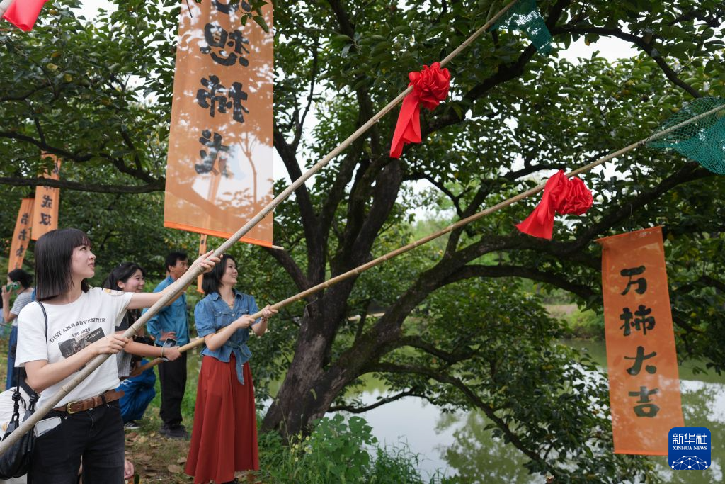 杭州:火柿映波秋西溪