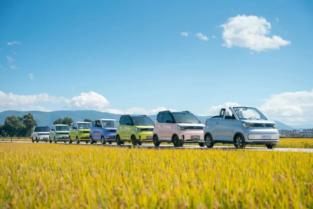 九十九款新能源車「駛」向鄉村