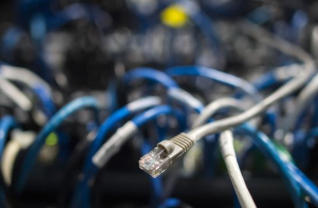 China's internet sector sees steady growth in first two months