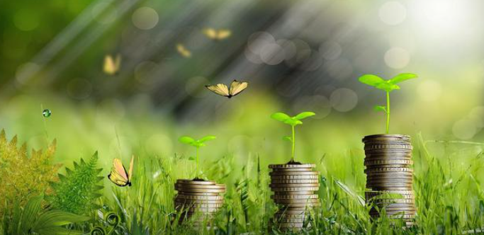 China to step up financial support for green development