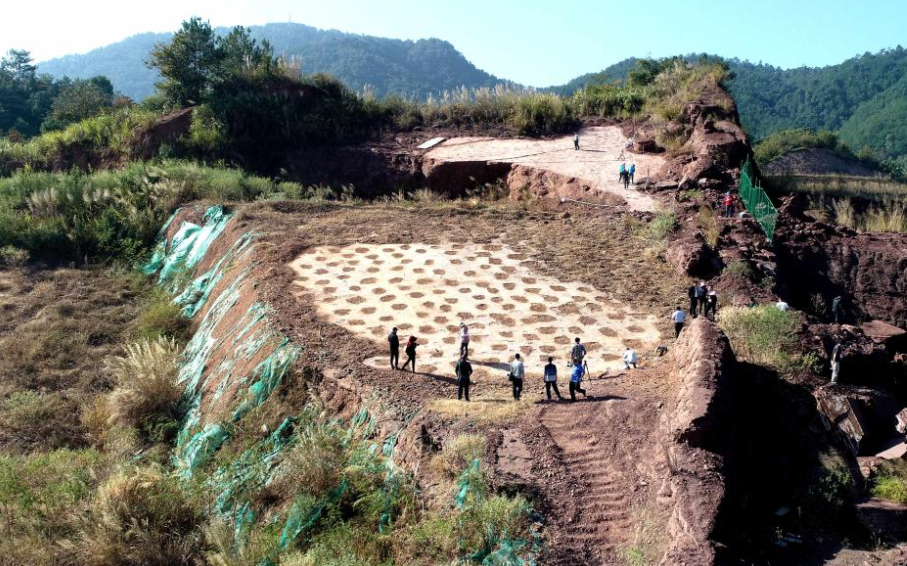 World's largest deinonychosaur tracks discovered in China's Fujian