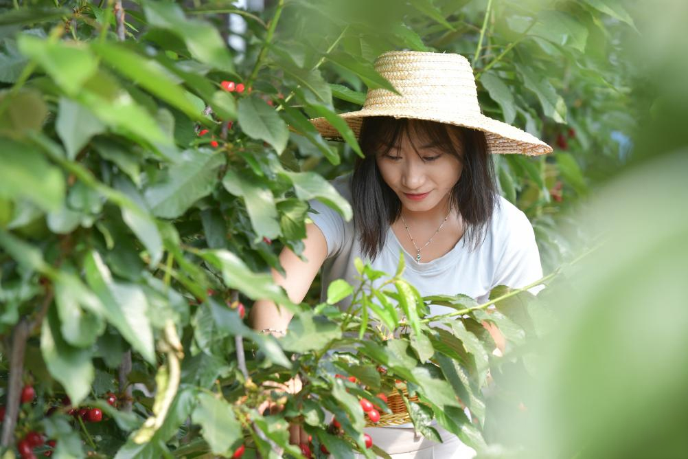 Town in E China vigorously develops ecological tourism