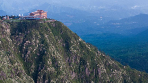 Scenery of azalea blossoms on summit of Mount Emei, SW China