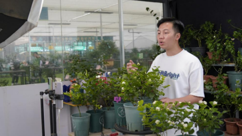 Jasmine city blossoms through e-commerce businesses