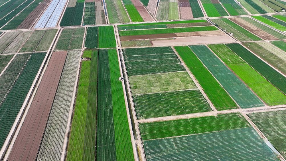 Aerial view of farms in Ningxia, NW China