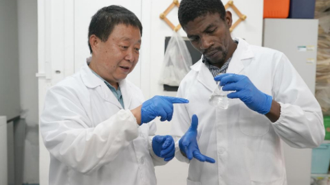 Chinese agriculture professor's dedication to Africa