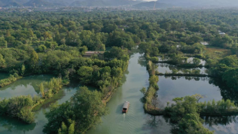 Wetland park in Hangzhou attracts tourists with beautiful autumn scenery