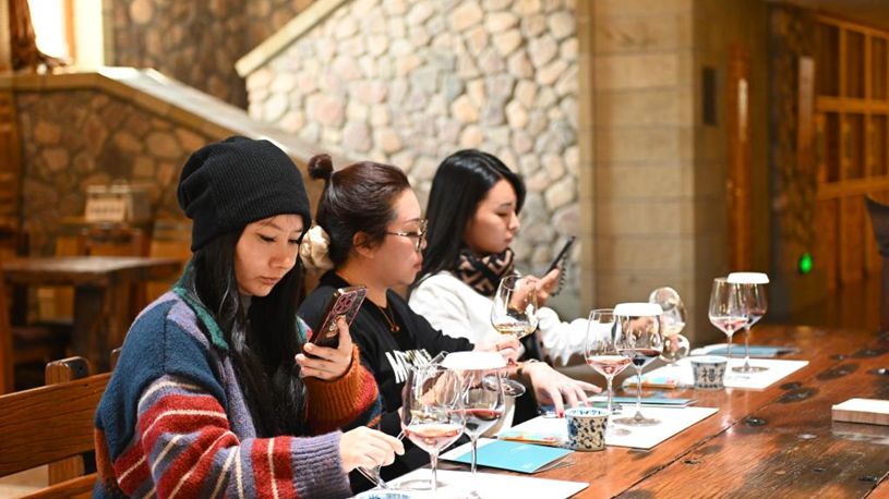 Wine-tourism destinations thrive in Ningxia's Helan Mountain
