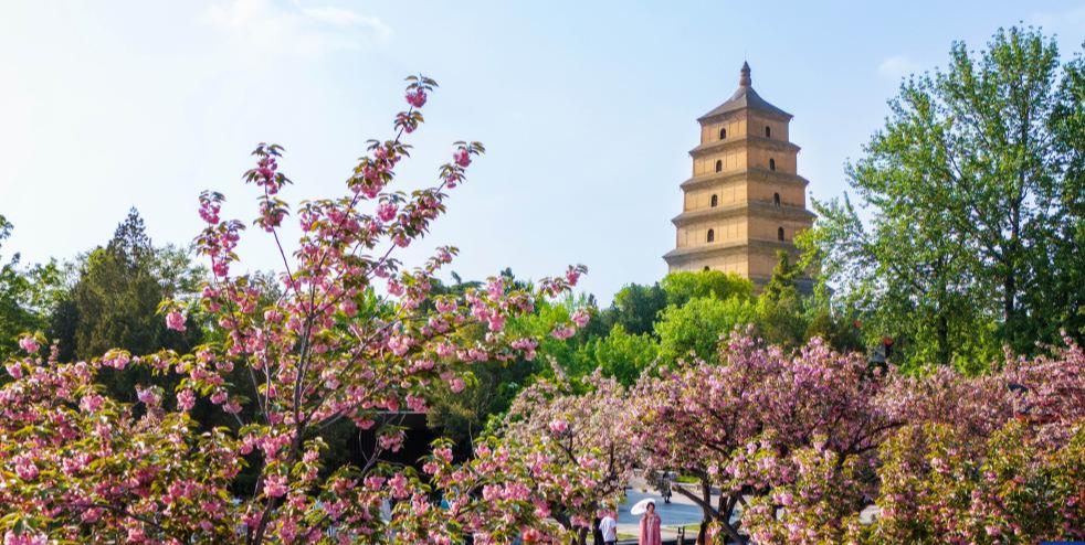Historical and cultural resources well preserved in China's Xi'an
