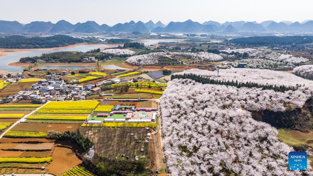 Belleza aérea: Cerezos en flor en suroeste de China