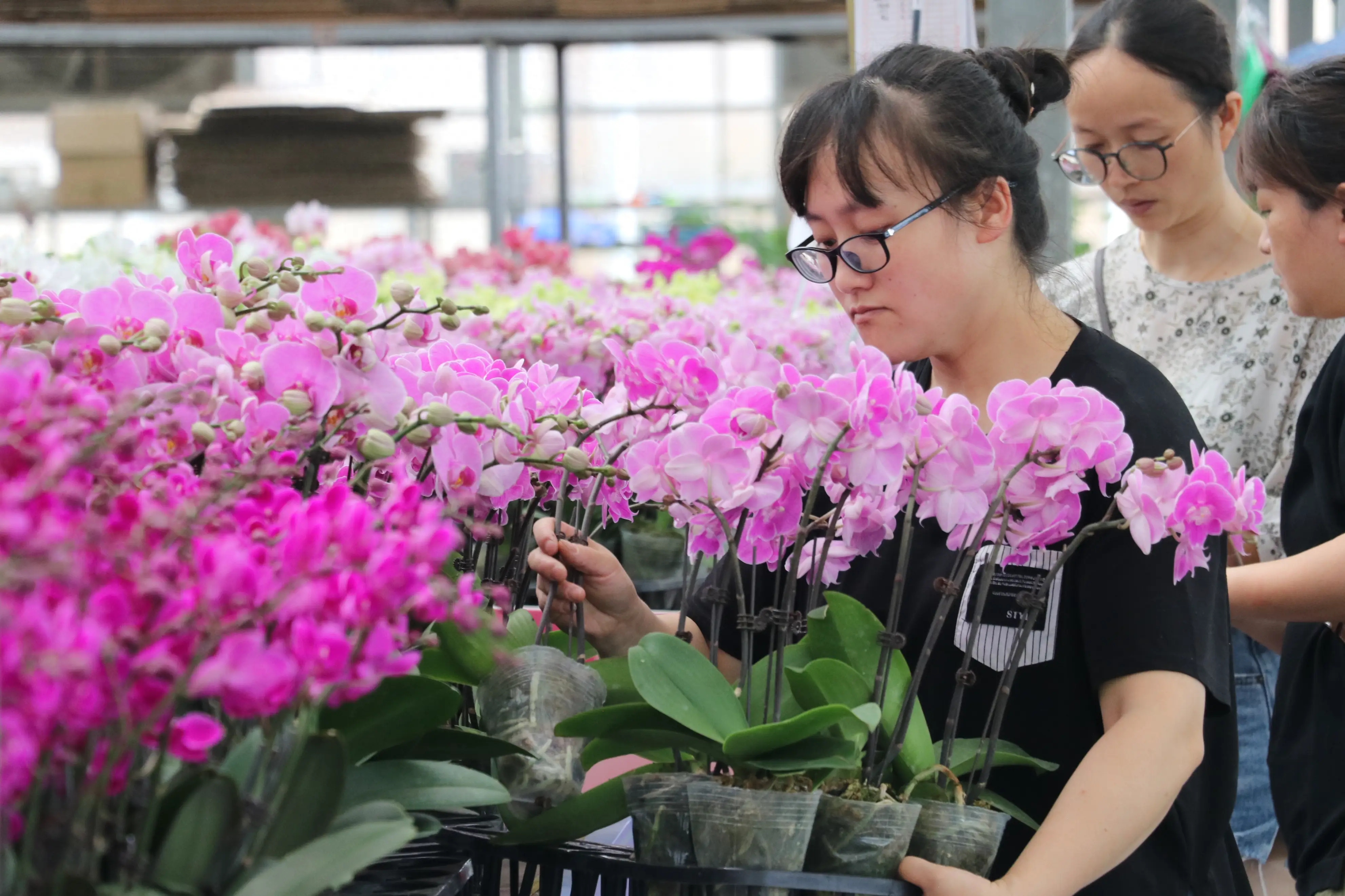 Blooming flower economy ignites spring consumption