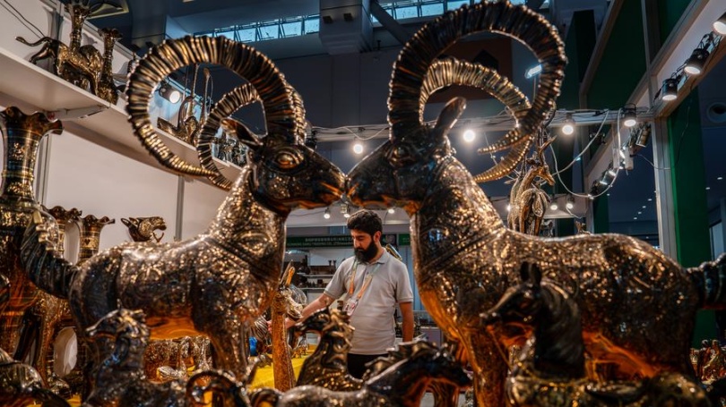 Expo showcases South Asian cultural delight in Kunming