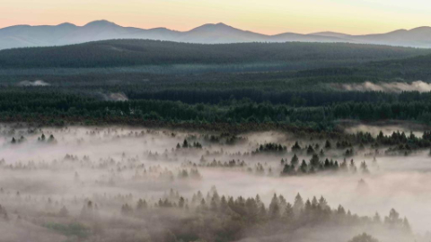 Scenery of Saihanba National Forest Park in Chengde City, China's Hebei