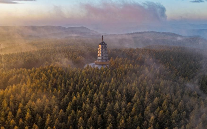 Autumn scenery of Saihanba National Forest Park in Chengde, N China