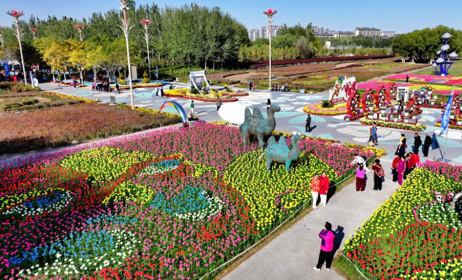 Autumn scenery in Yinchuan, NW China's Ningxia
