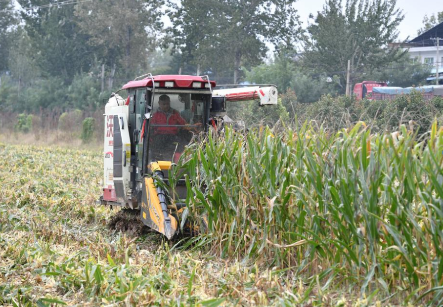 China's Shaanxi dispatches machinery to boost autumn grain harvest efficiency