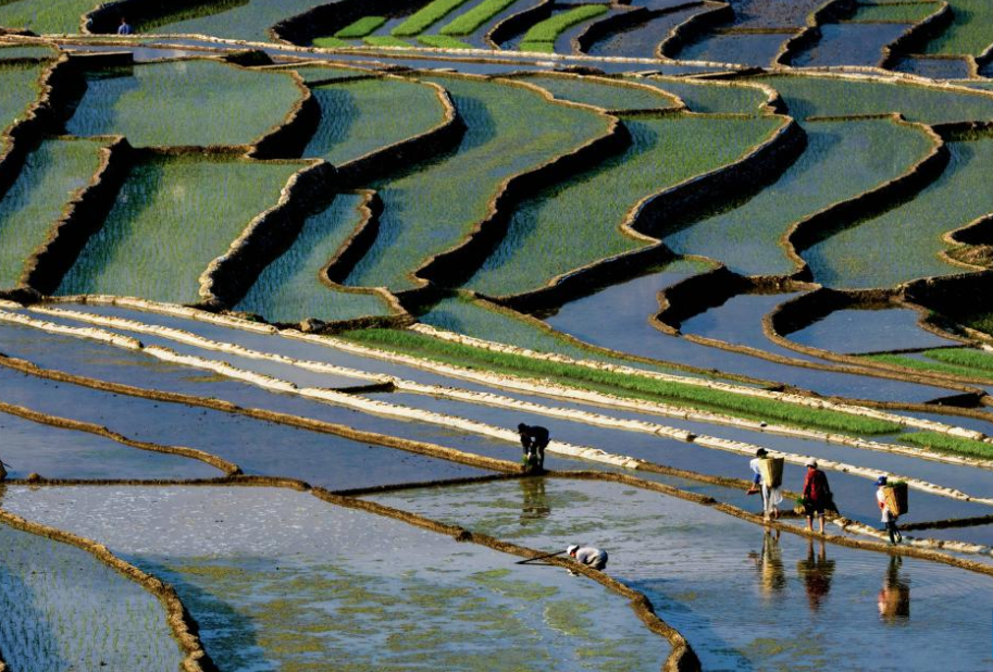 Scenery of terraced fields in Ganluo County, China's Sichuan